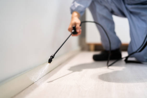 Bed Bug Pre-Treatment Preparation Assessment in Rancho San Diego