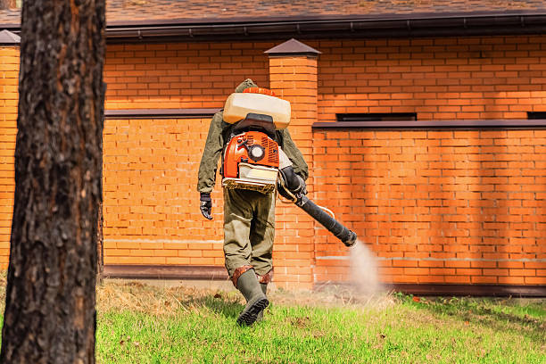 Bed Bug Clearance Verification and Documentation in Rancho San Diego